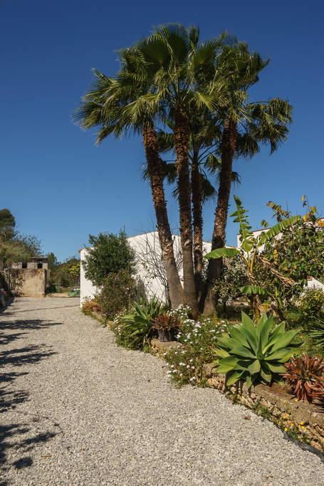 Willa Can Beia Rural House Ibiza Nuestra Señora de Jesus Zewnętrze zdjęcie